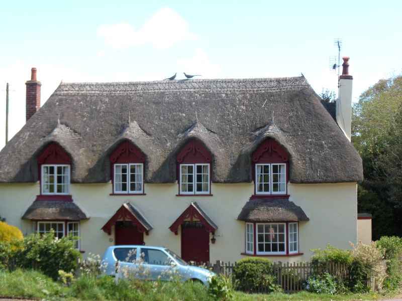 {short description of image}