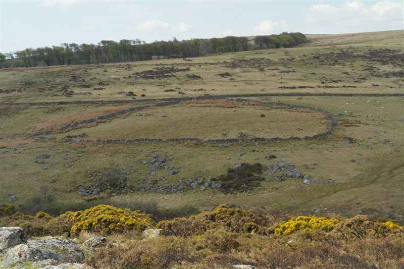 {short description of image}