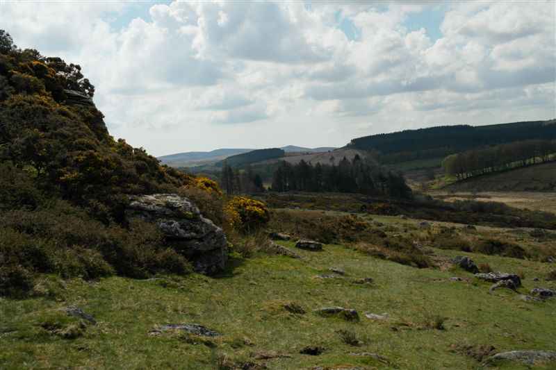 {short description of image}