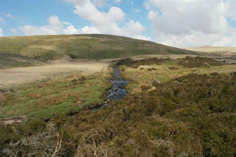 {short description of image}