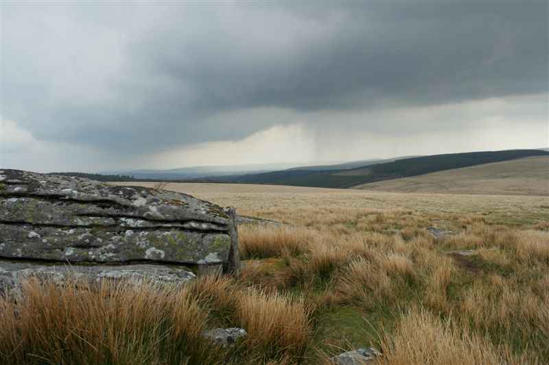 {short description of image}