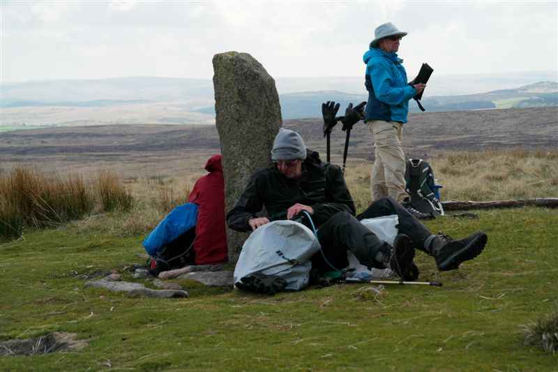 {short description of image}