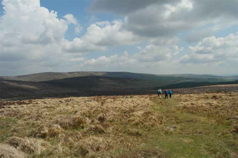 {short description of image}