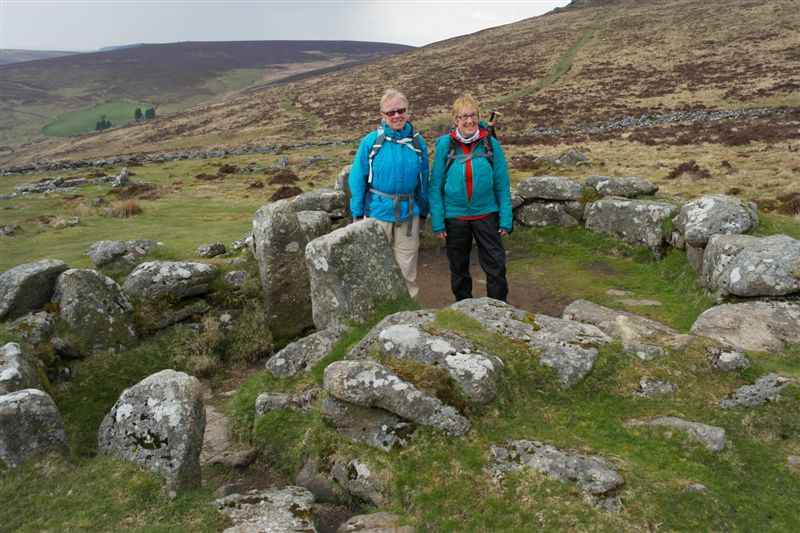 {short description of image}