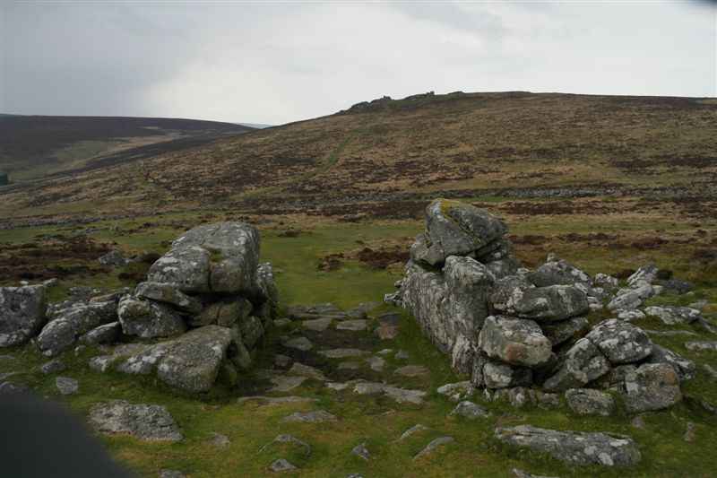 {short description of image}