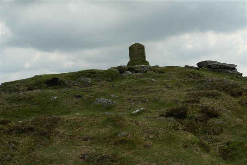 {short description of image}