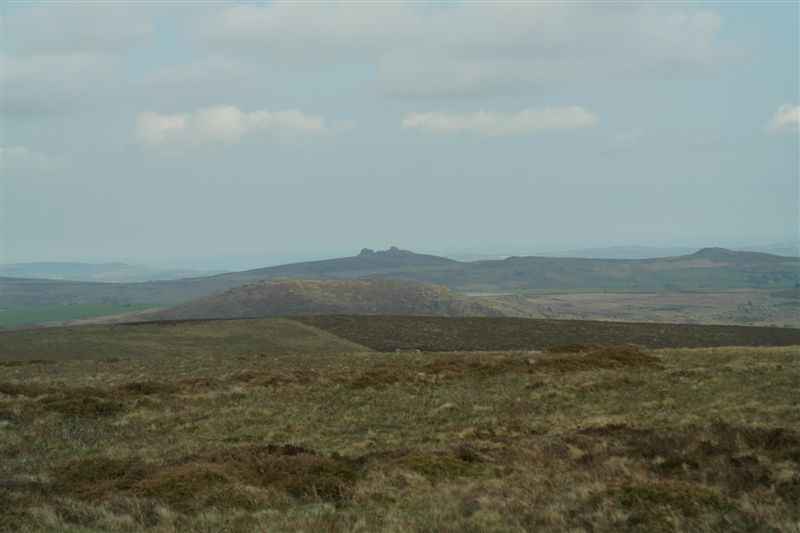 {short description of image}