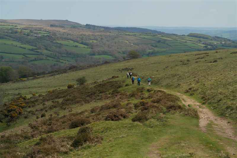 {short description of image}