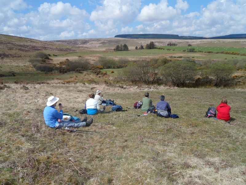 {short description of image}