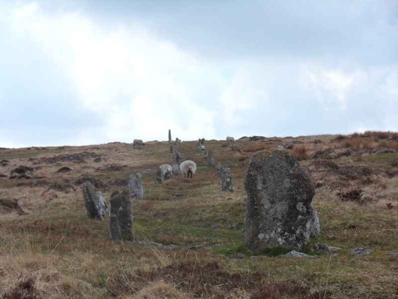 {short description of image}