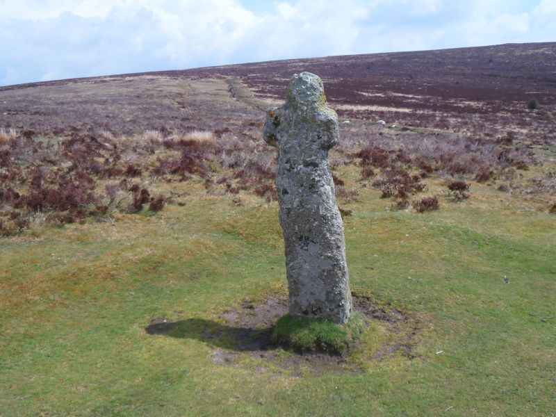 {short description of image}