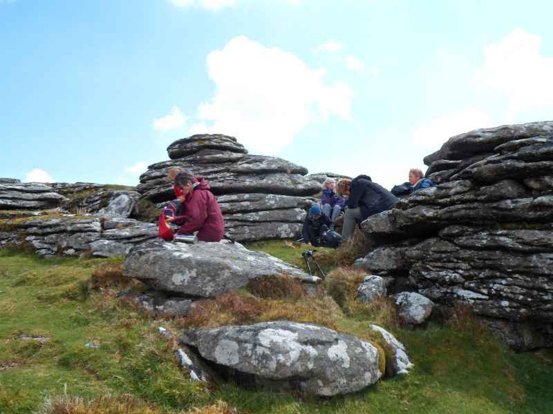 {short description of image}