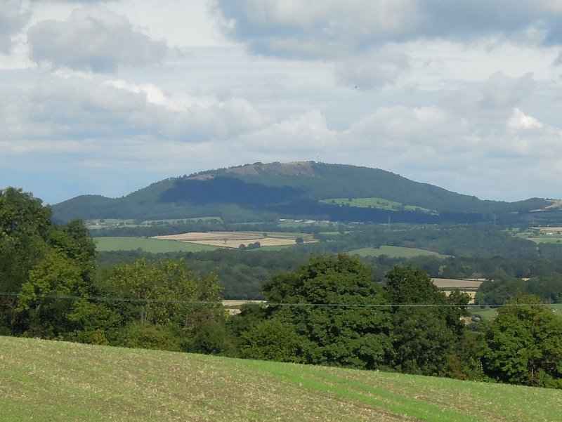 {short description of image}