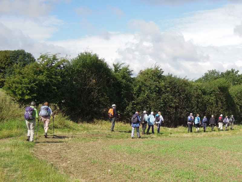 {short description of image}