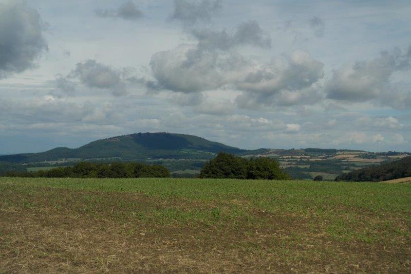 {short description of image}