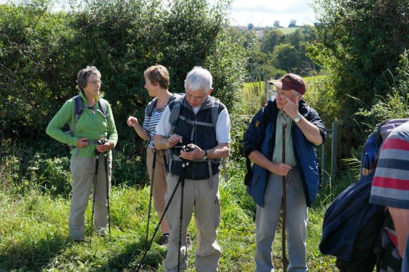 {short description of image}