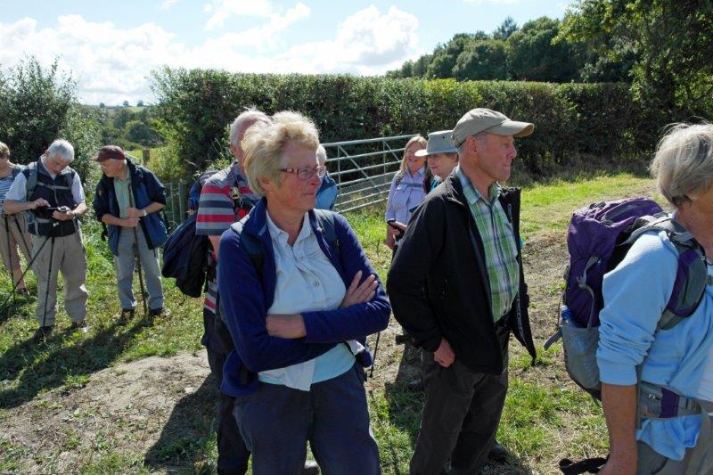 {short description of image}