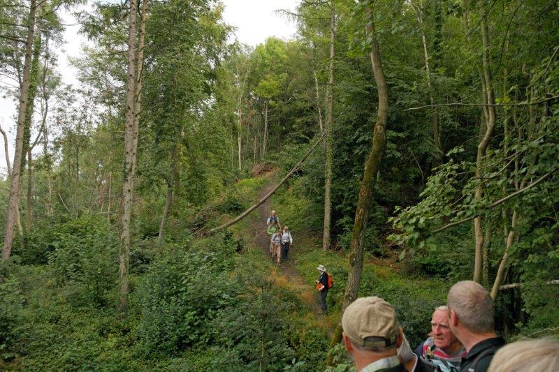 {short description of image}