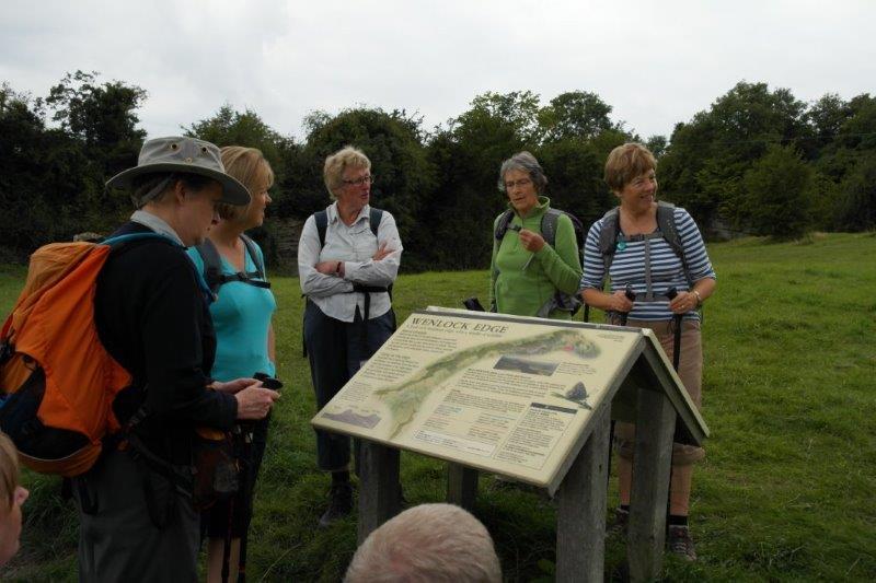 {short description of image}