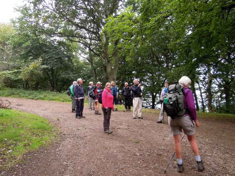 {short description of image}