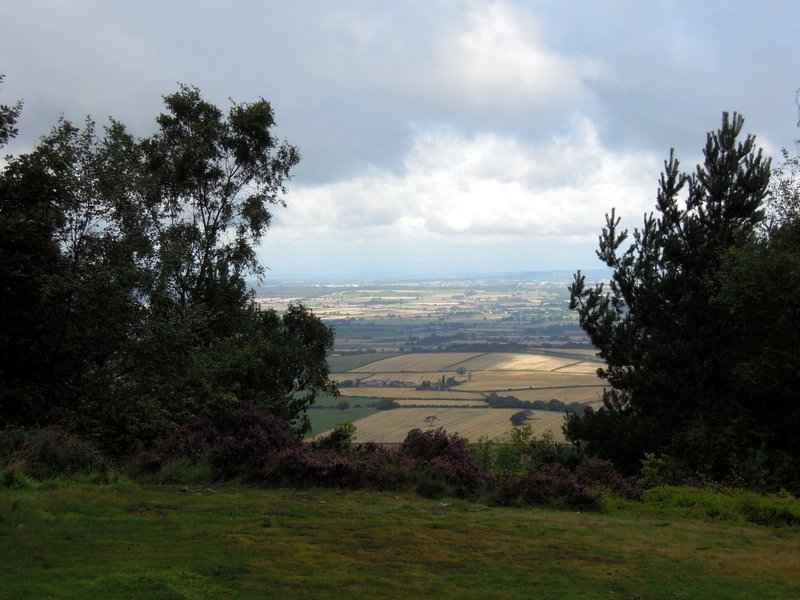 {short description of image}