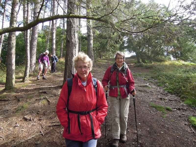 {short description of image}