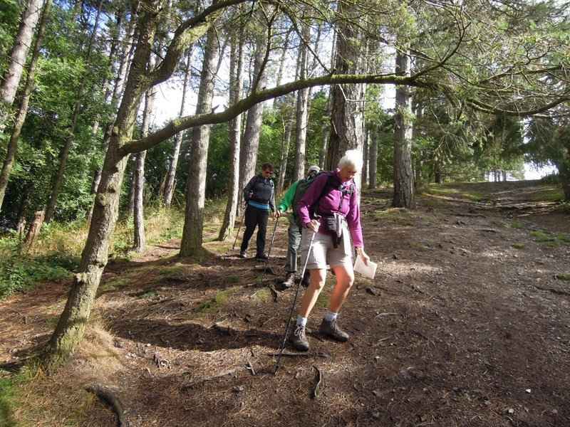 {short description of image}