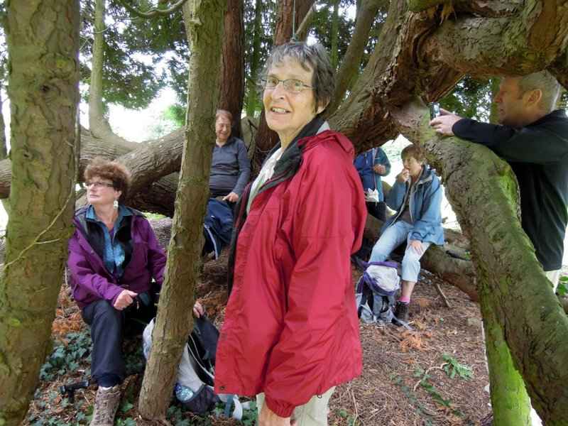 {short description of image}