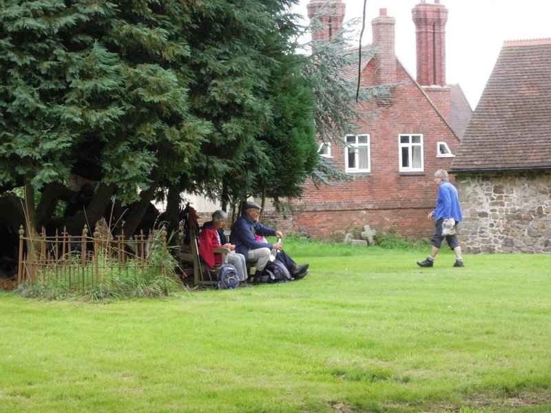 {short description of image}