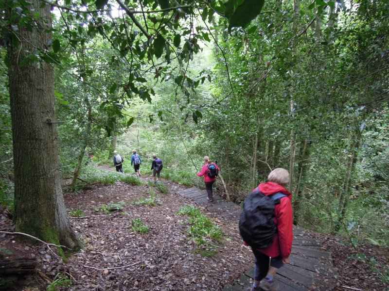 {short description of image}