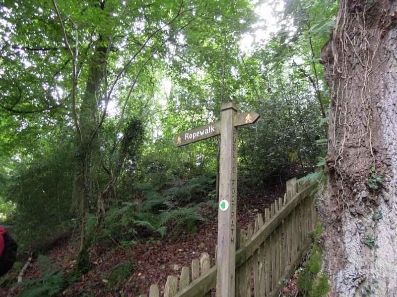 {short description of image}