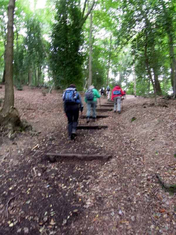 {short description of image}