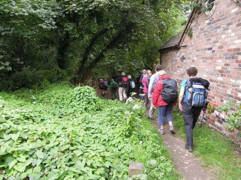 {short description of image}