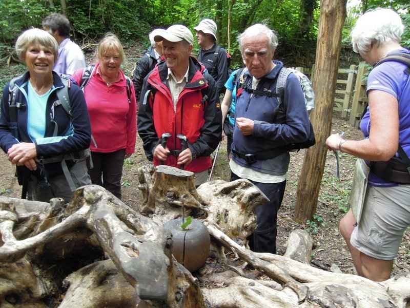 {short description of image}