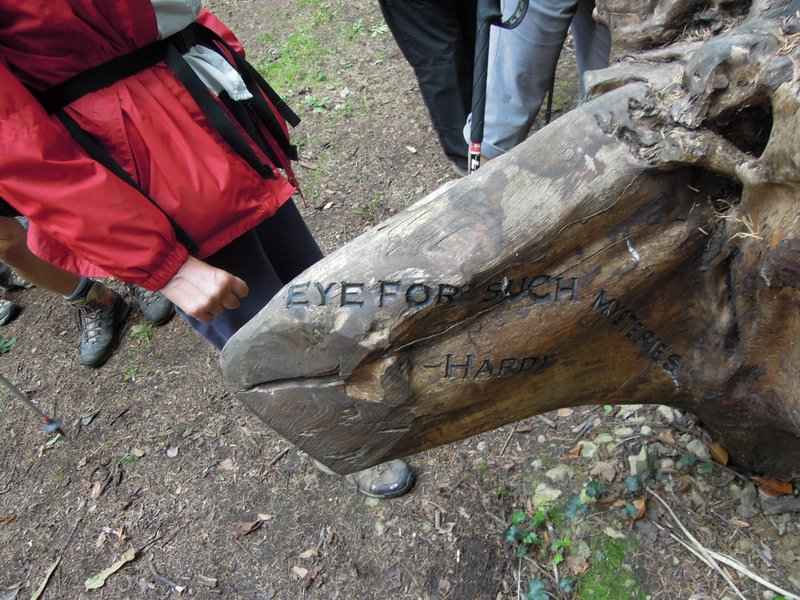 {short description of image}