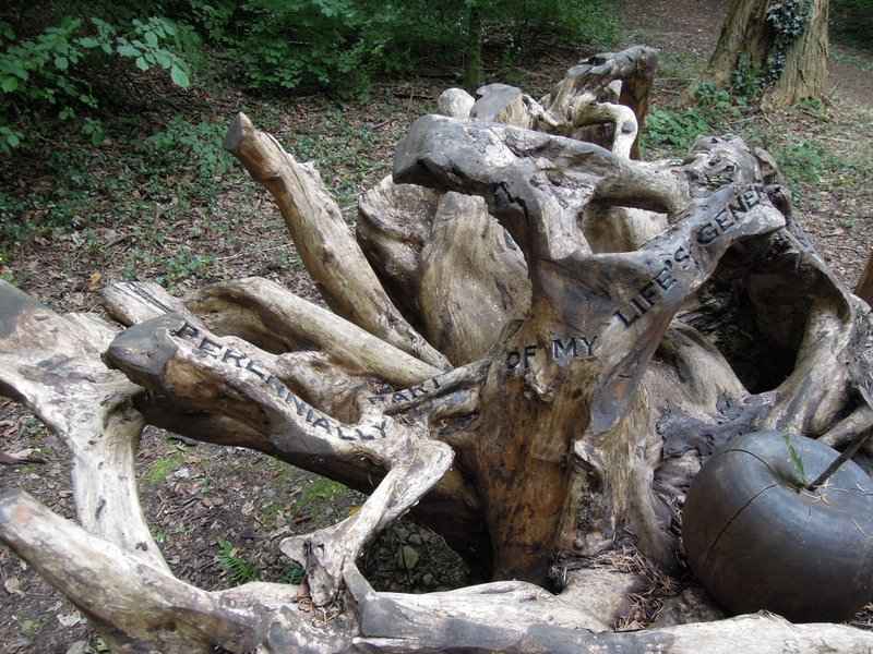 {short description of image}