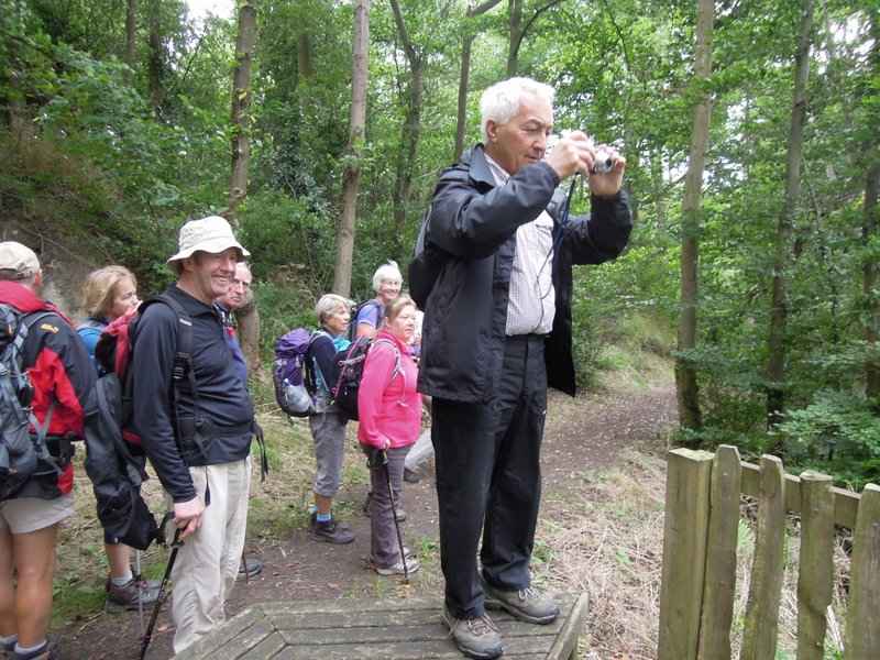 {short description of image}