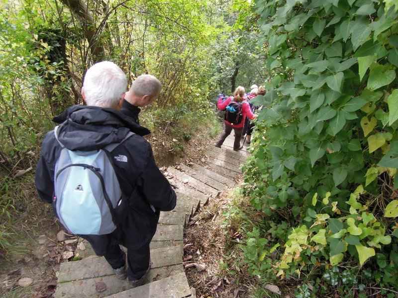 {short description of image}