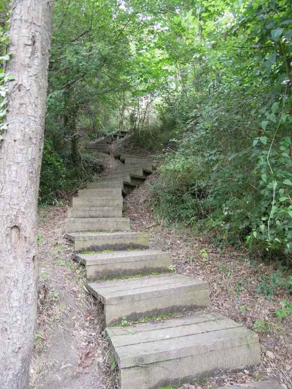 {short description of image}