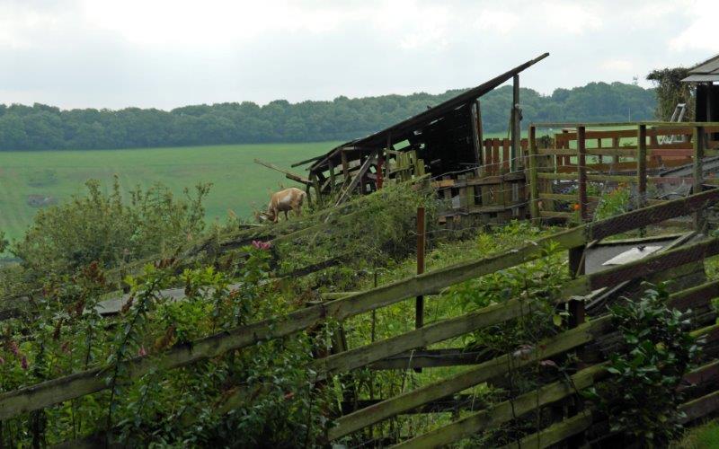 {short description of image}