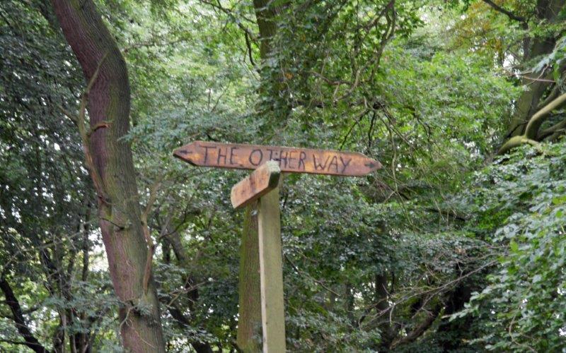 {short description of image}