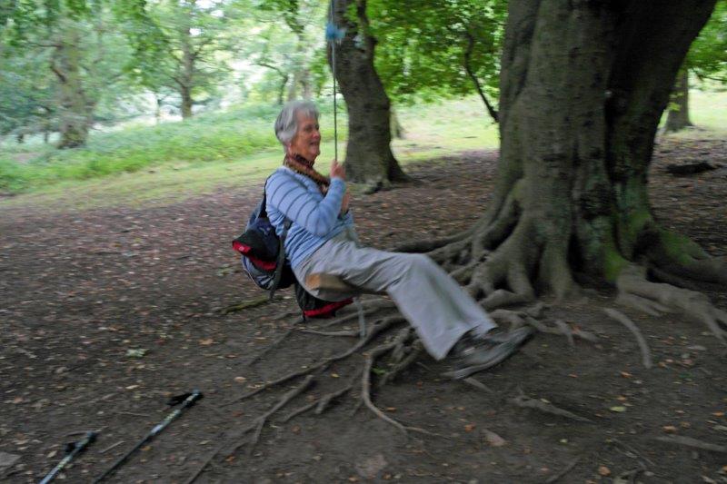 {short description of image}