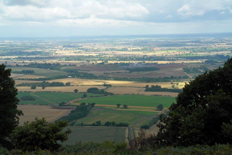 {short description of image}