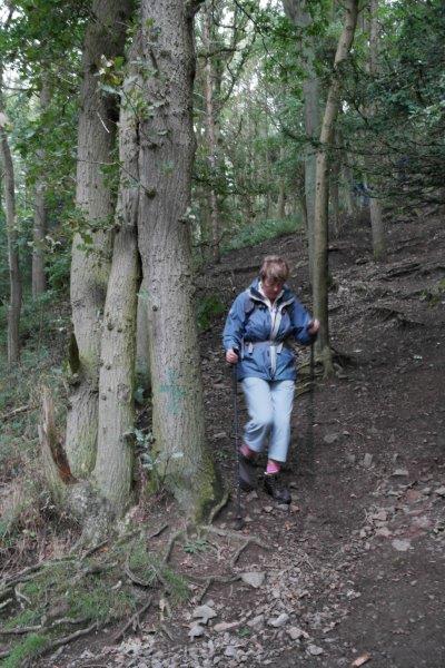 {short description of image}