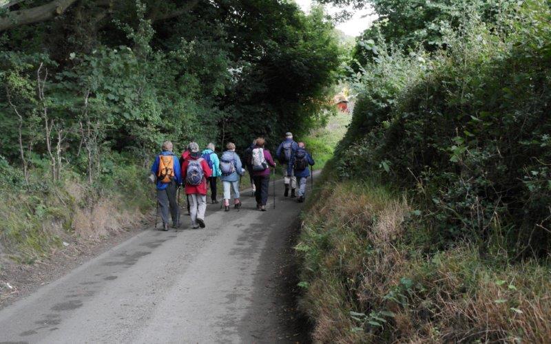 {short description of image}