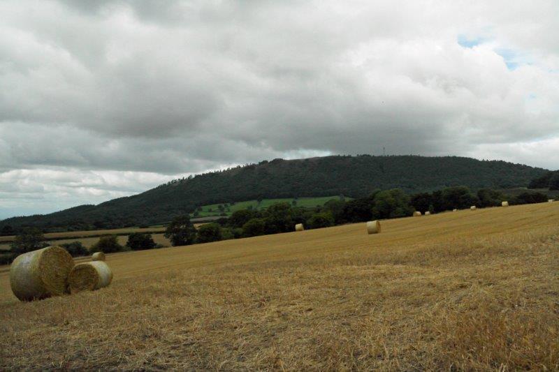 {short description of image}