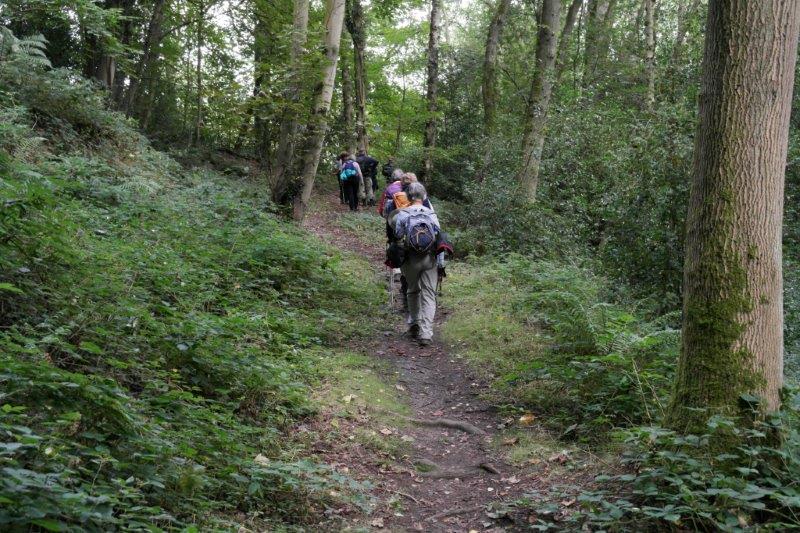 {short description of image}