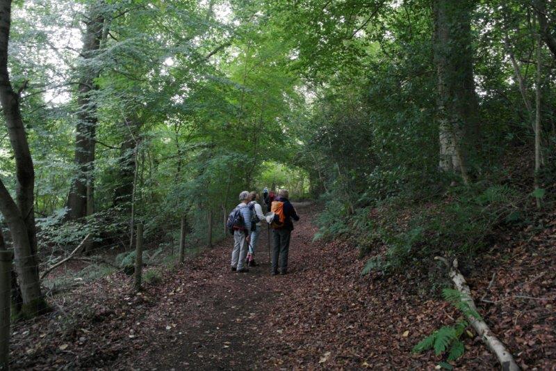 {short description of image}