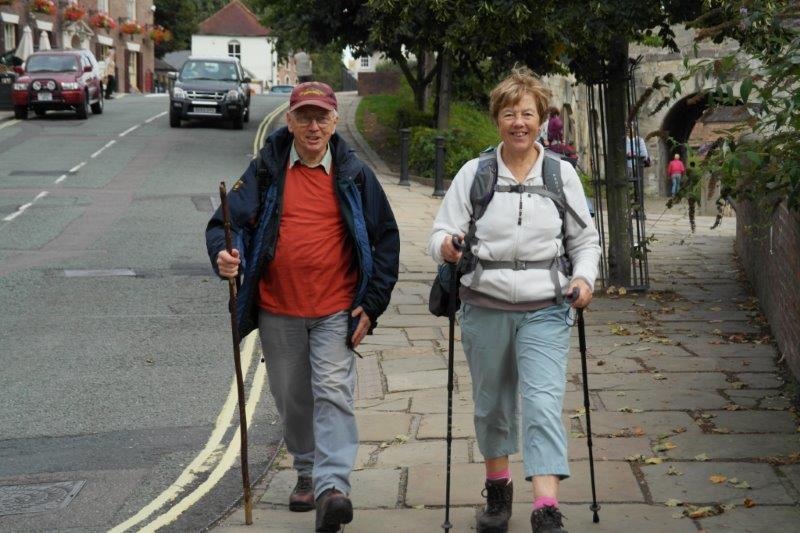 {short description of image}