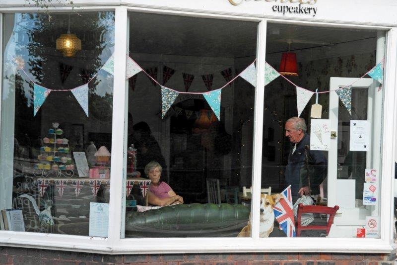 {short description of image}